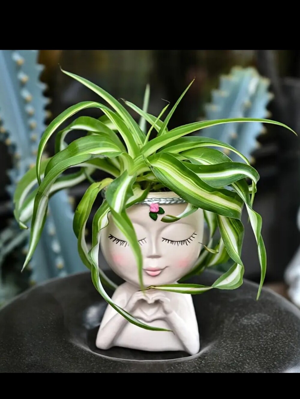 🍁Face Mini Flower Pot